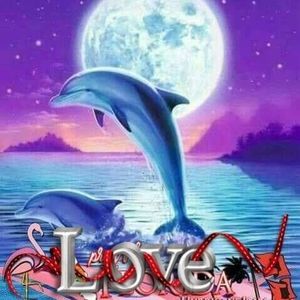 Meet your Posher, Naydean